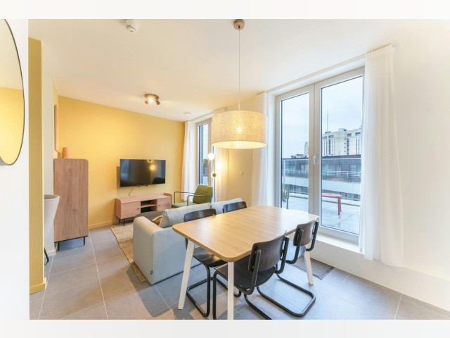 Belgium furnished Apartment in Flemish Region, Antwerp
