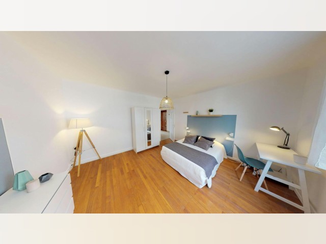 France furnished Room in Rhone-Alpes, Lyon