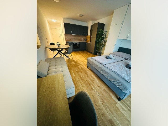 Austria furnished Apartment in Vienna, Vienna