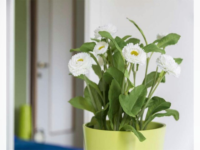 Italy furnished Room in Lombardy, Milan