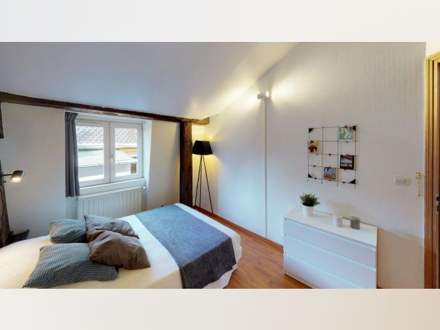 France furnished Room in Rhone-Alpes, Lyon