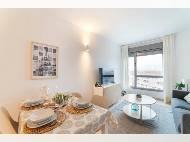 Spain furnished Apartment in Madrid, Madrid