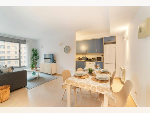 Spain furnished Apartment in Madrid, Madrid