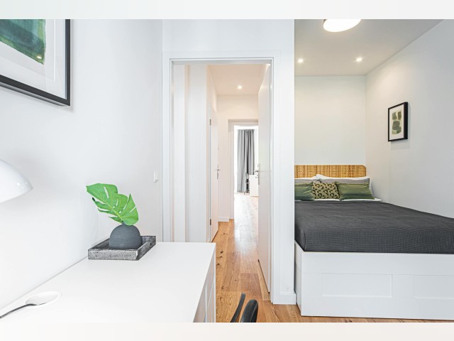 Germany furnished Room in North Rhine-Westphalia, Dusseldorf
