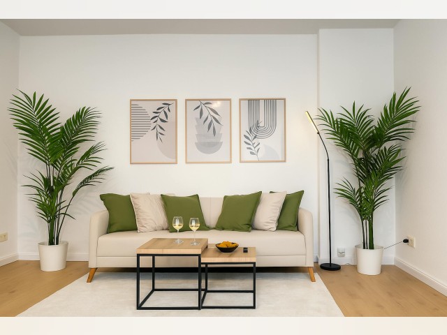 Magdeburg Apartment for rent