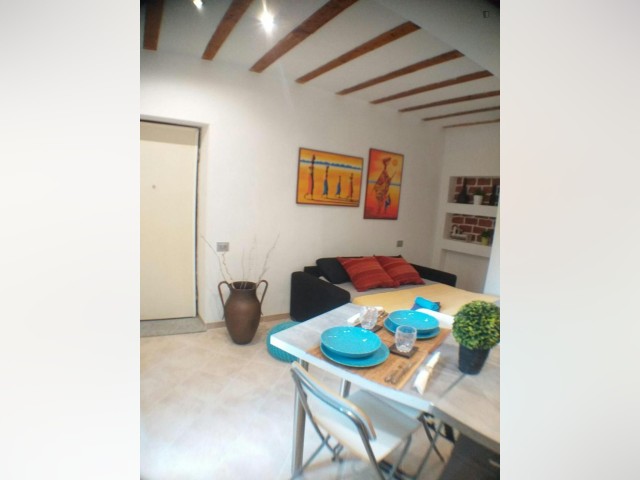 Milan Apartment for rent