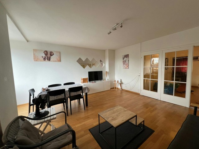 Basel Apartment for rent