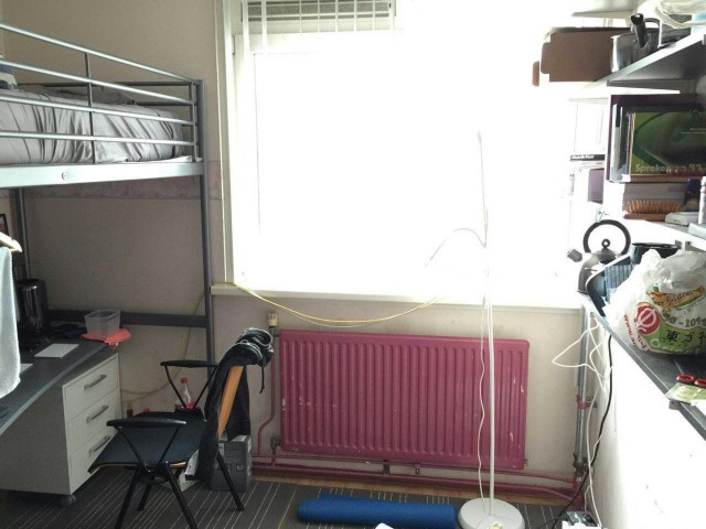 Netherlands furnished Room in South Holland, Rotterdam