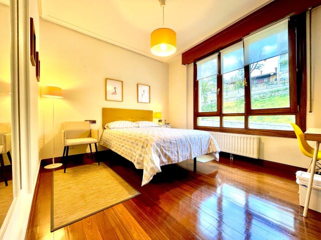 Spain furnished Room in Basque Country, Bilbao