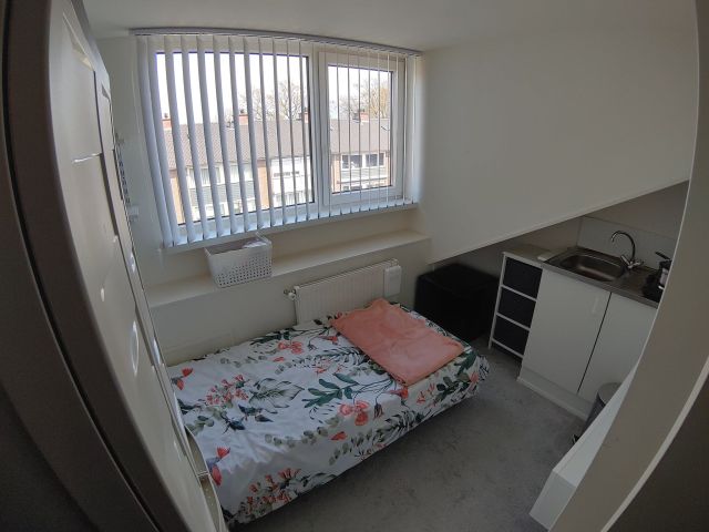 Netherlands furnished Room in South Holland, Rotterdam