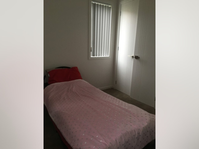 Auckland Room for rent