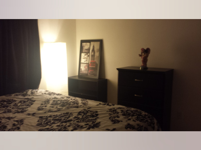 Orlando FL Room for rent