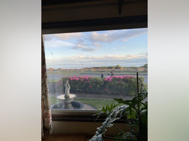 Canada furnished Room in British Columbia, Victoria BC