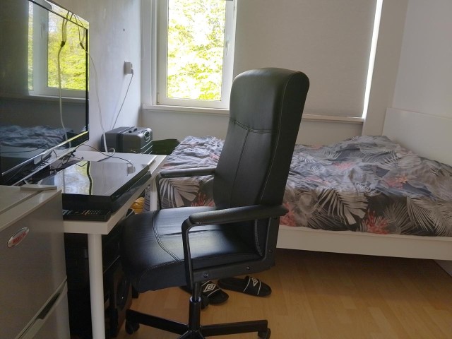 Zwolle Room for rent