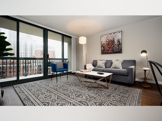 Chicago IL Apartment for rent