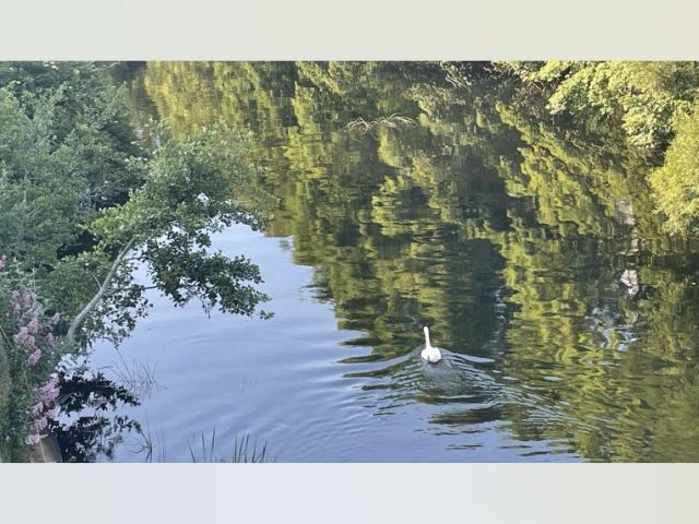 Dublin Apartment for rent