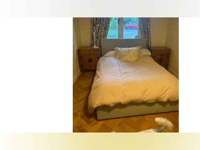 Dublin Room for rent