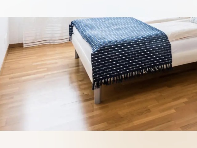 Zurich Apartment for rent