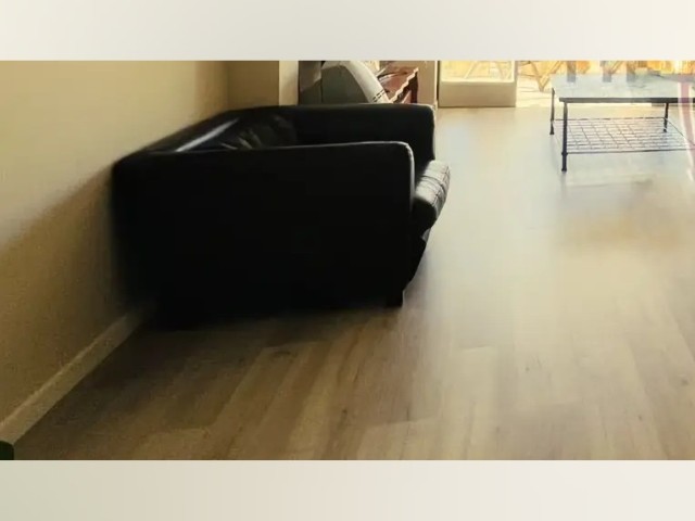 Palma de Mallorca Apartment for rent