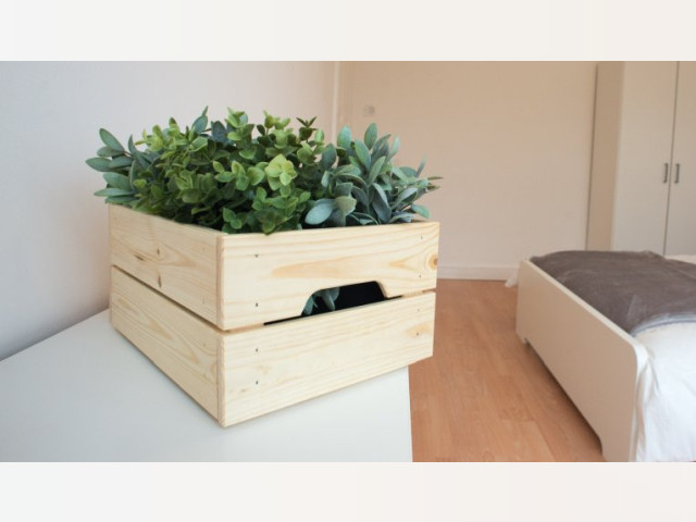London Room for rent