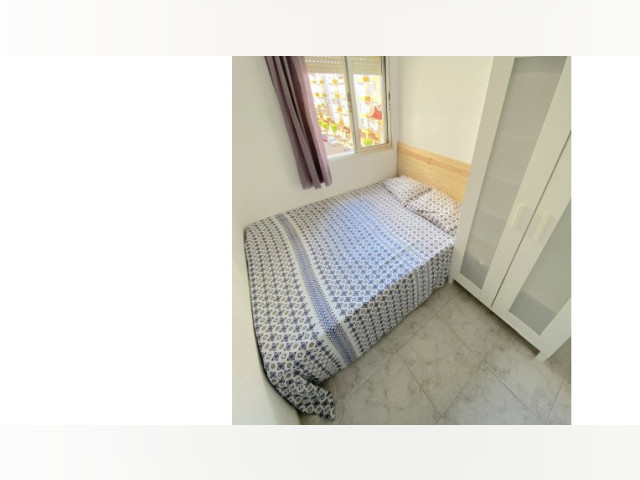 Seville Room for rent