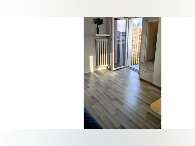 Warsaw Room for rent