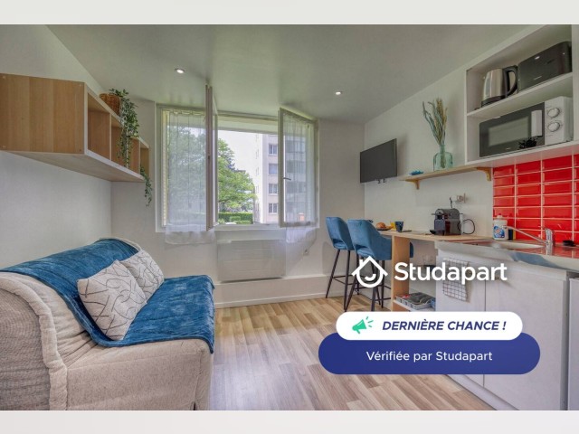 Saint-Martin-d`Heres Apartment for rent