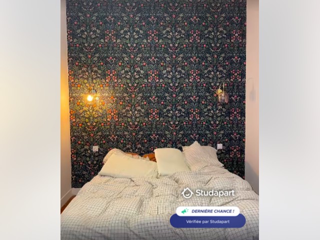 Nice Apartment for rent