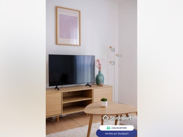Toulouse Room for rent