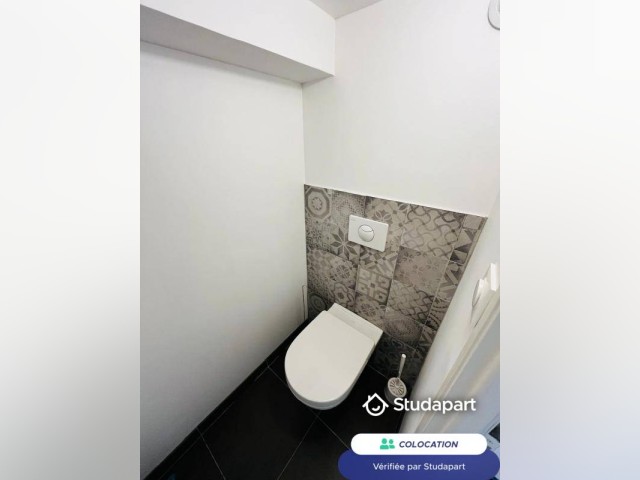 Caluire-et-Cuire Room for rent