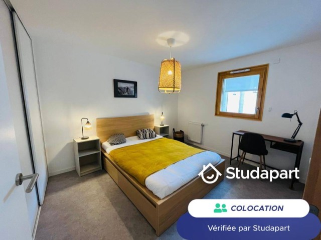 Caluire-et-Cuire Room for rent