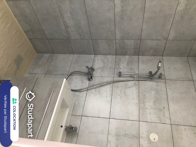 Ecully Room for rent
