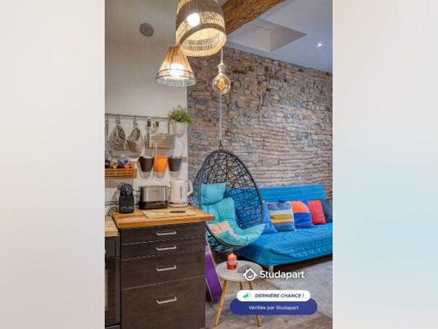 Grenoble Apartment for rent