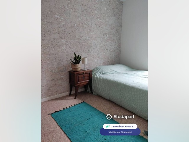Caluire-et-Cuire Room for rent