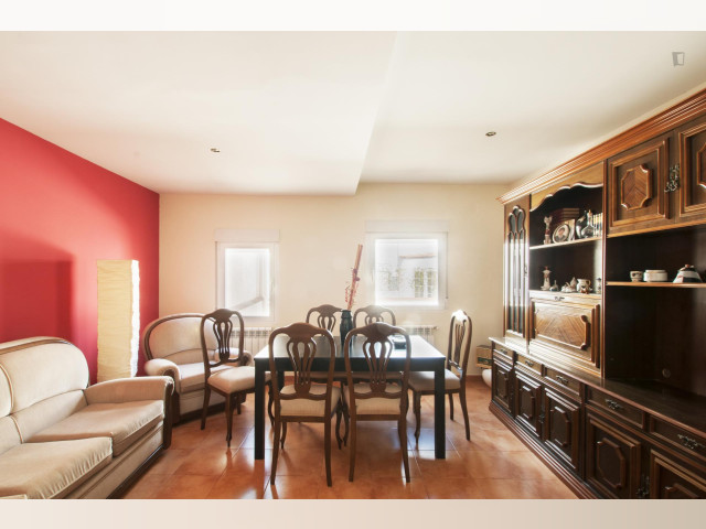 Spain furnished Apartment in Madrid, Madrid