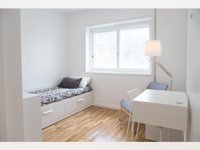 Portugal furnished Room in Porto-North Portugal, Porto Oporto