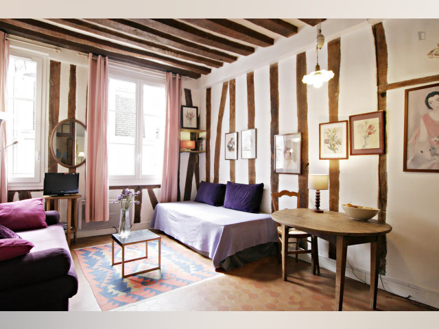 Paris Apartment for rent