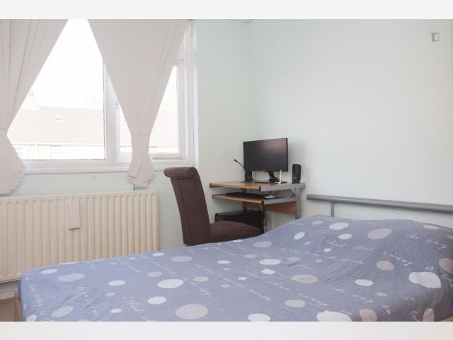 Netherlands furnished Room in South Holland, Rotterdam