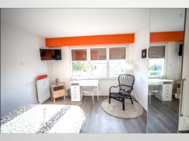 Strasbourg Room for rent