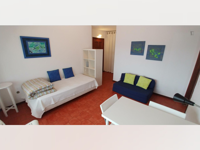 Portugal furnished Apartment in Porto-North Portugal, Porto Oporto