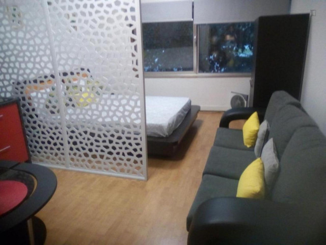 Portugal furnished Apartment in Porto-North Portugal, Porto Oporto
