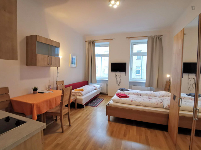 Austria Long term rentals in Vienna, Vienna