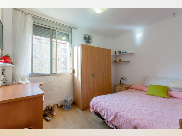 Spain furnished Room in Valencia, Valencia