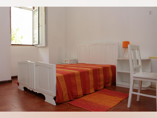 Coimbra Room for rent