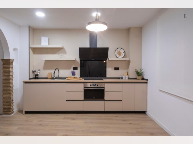 Spain furnished Apartment in Valencia, Valencia