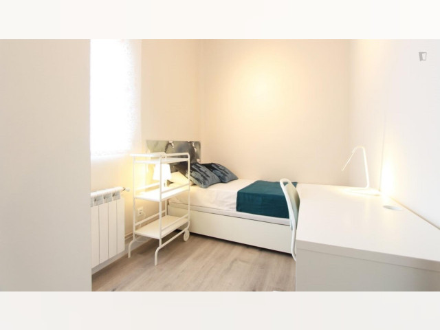 Spain furnished Room in Madrid, Madrid