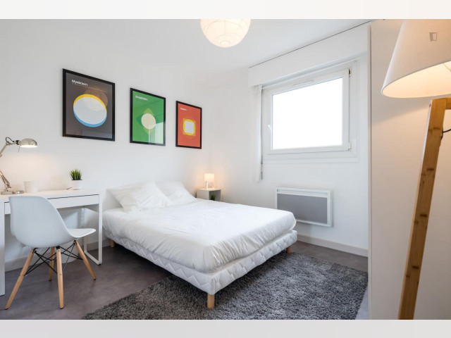 France furnished Room in Rhone-Alpes, Lyon