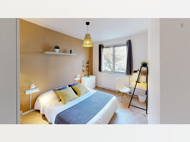 France furnished Room in Rhone-Alpes, Lyon