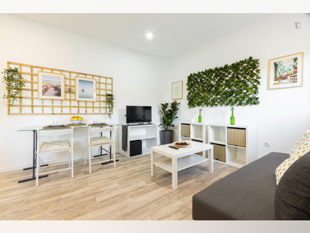 Spain furnished Apartment in Madrid, Madrid
