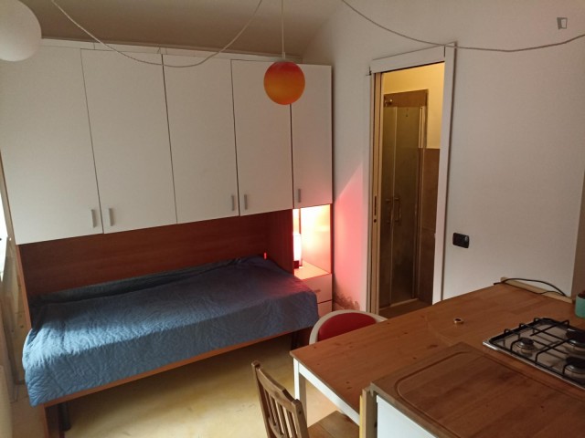 Italy furnished Room in Piedmont, Turin